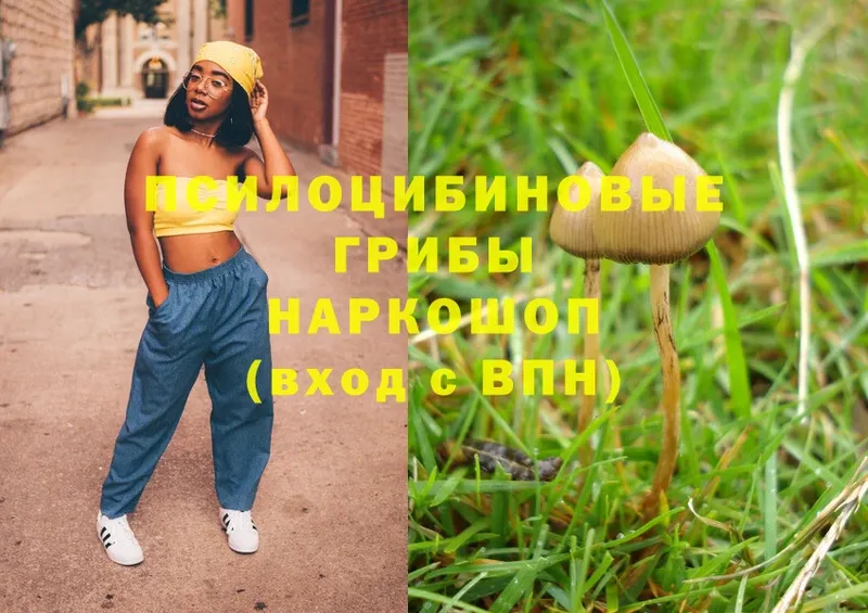 mega ТОР  Тосно  Псилоцибиновые грибы Magic Shrooms 